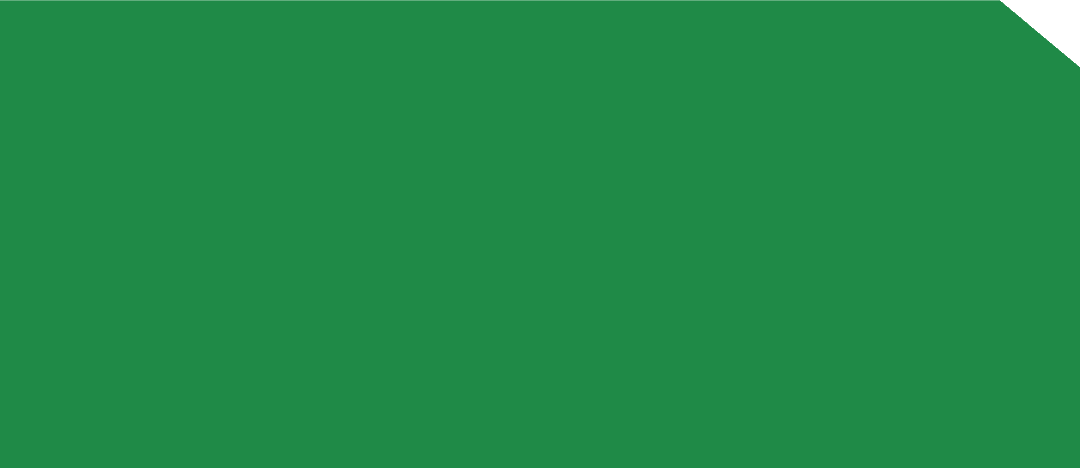 ESG 5029N - EDL HPL 4'x8' | LEMON GREEN