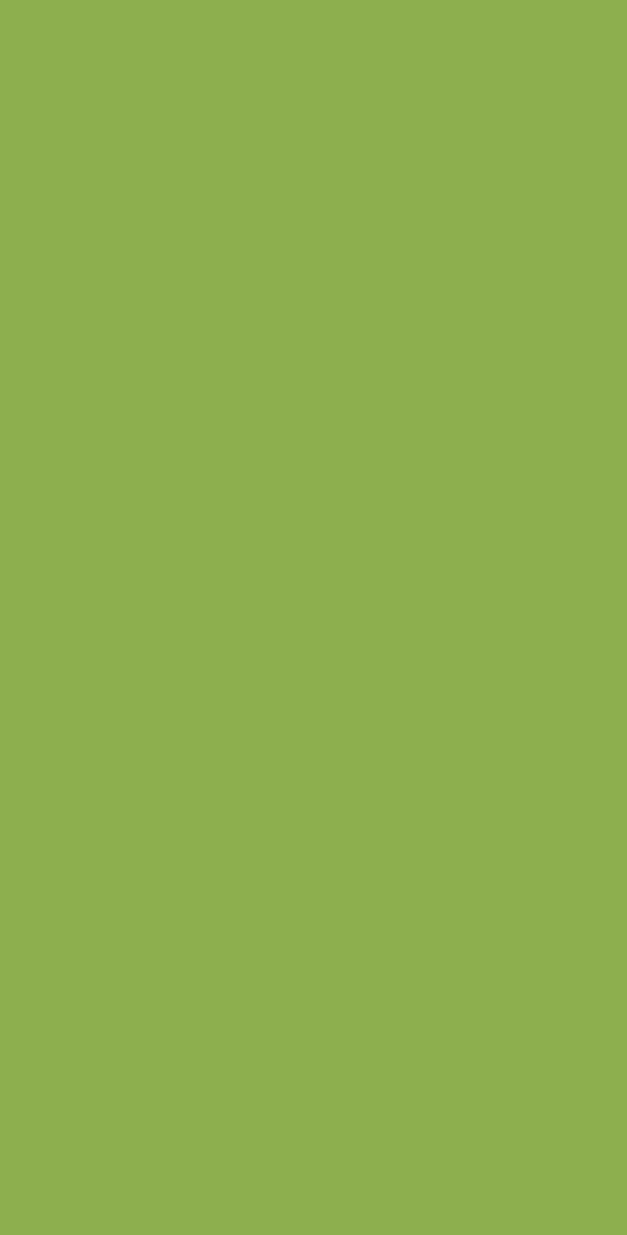 DSK 7500SM - EDL HPL 4'x8' | LIME FIZZ