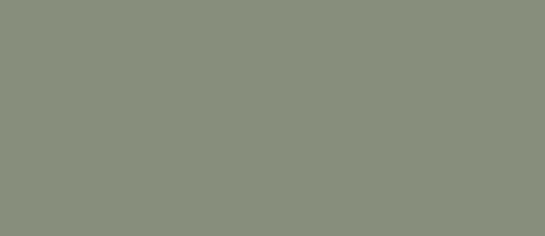 ESS 5206SMA - EDL HPL 4'x8' | MUTED OLIVE