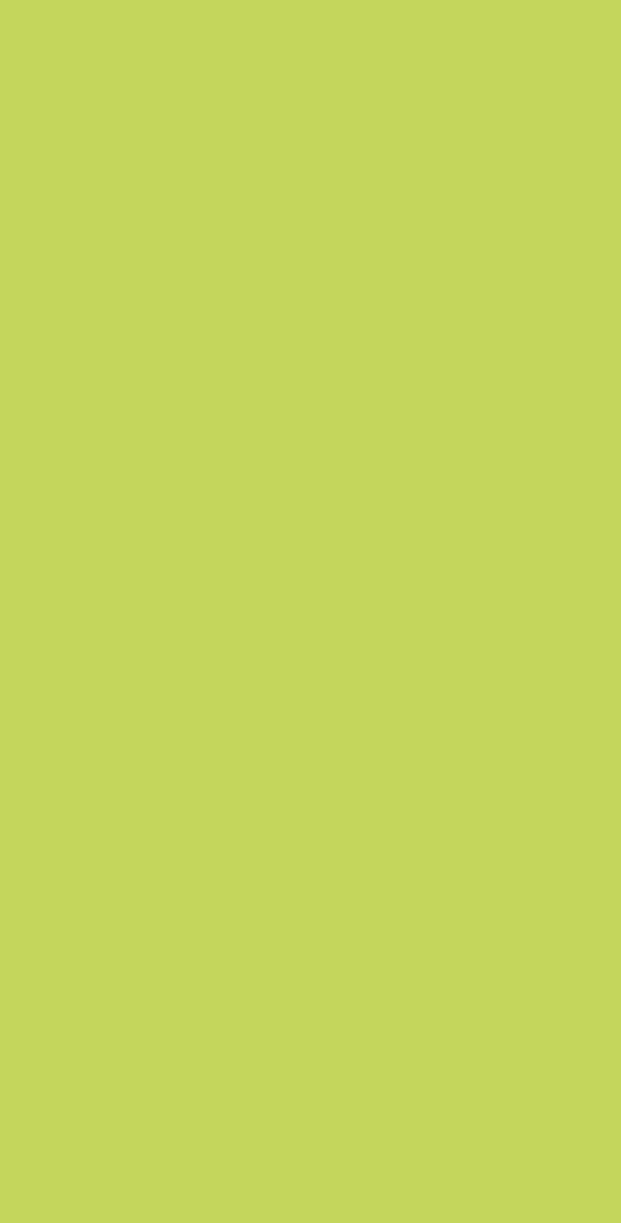 ESF 6240T - EDL HPL 4'x8' | LAWN GREEN