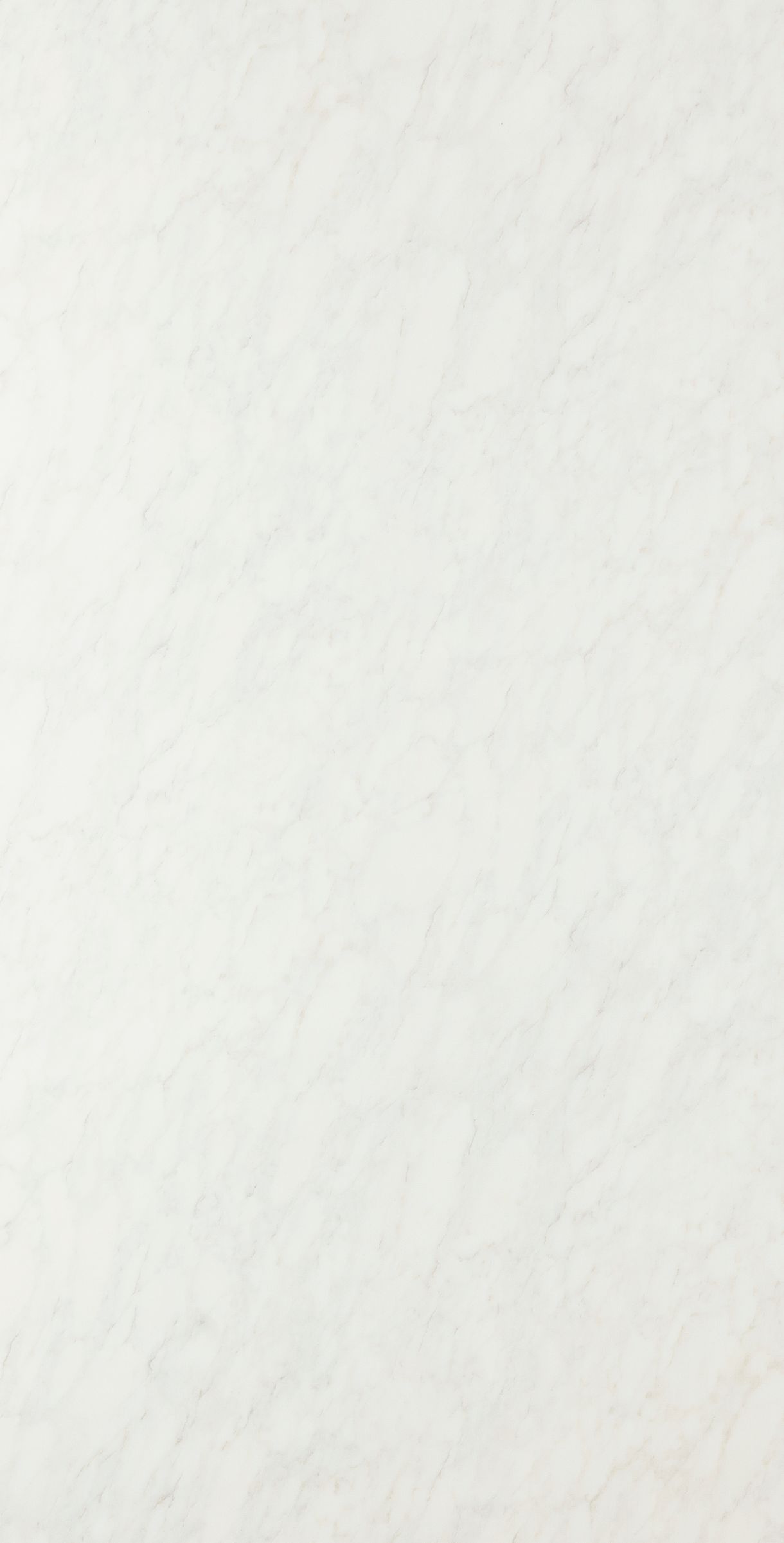 DPC 3131VC - EDL HPL 4'x8' | BIANCO-V