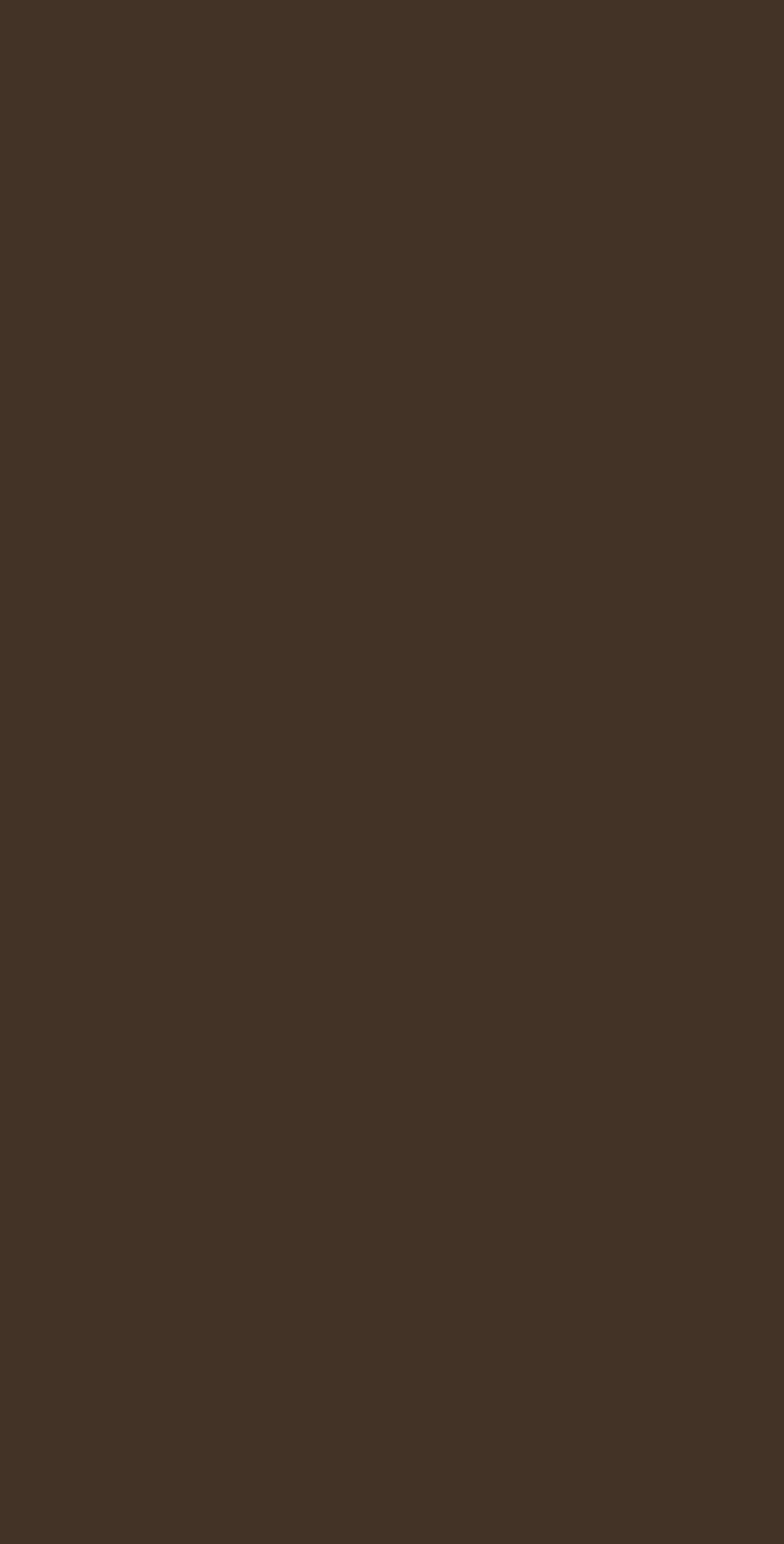 EEP 5252PG - EDL HPL 4'x8' | RUM