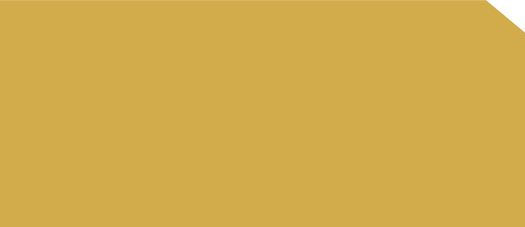 DMA 2866 - EDL HPL 4'x8' | ROSE GOLD MIRROR