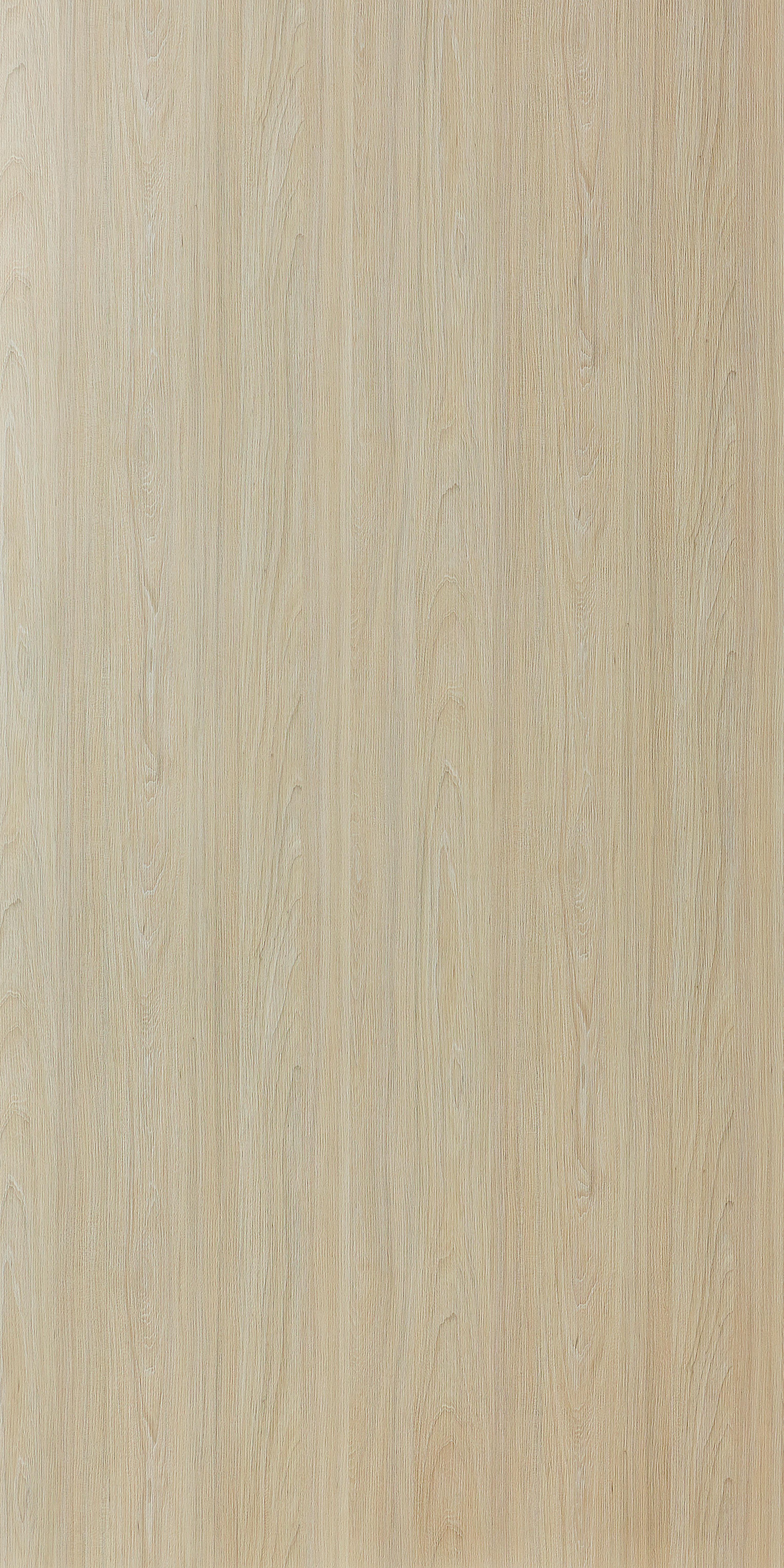 DWV 4538AE - EDL HPL 4'x10' | WHITE ELM