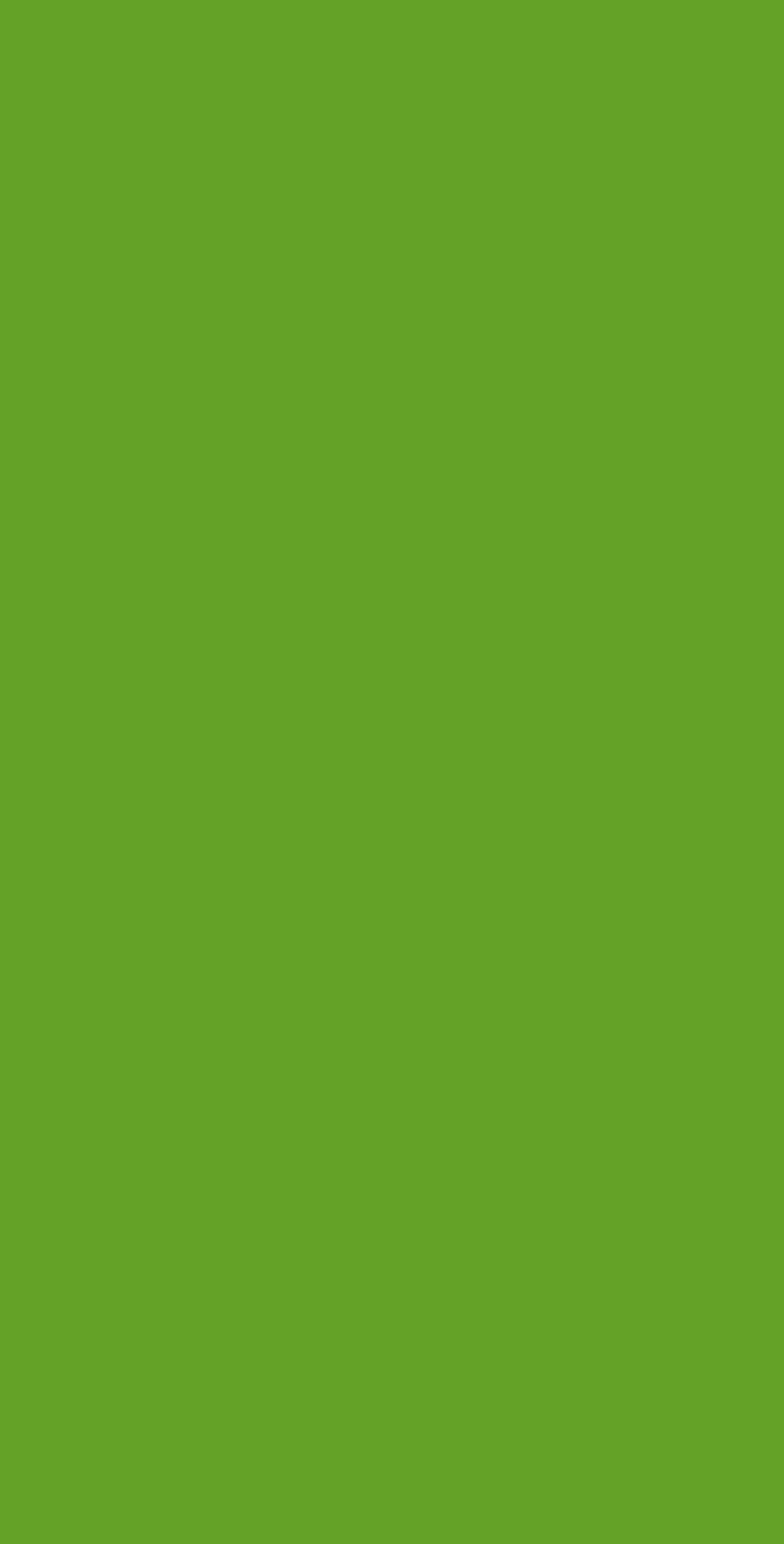 ESG 5066N - EDL HPL 4'x8' | LIME GREEN