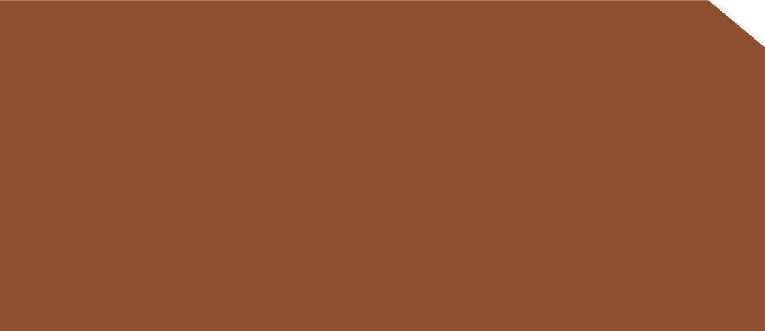 DST 6420SM - EDL HPL 4'x8' | TERRACOTTA