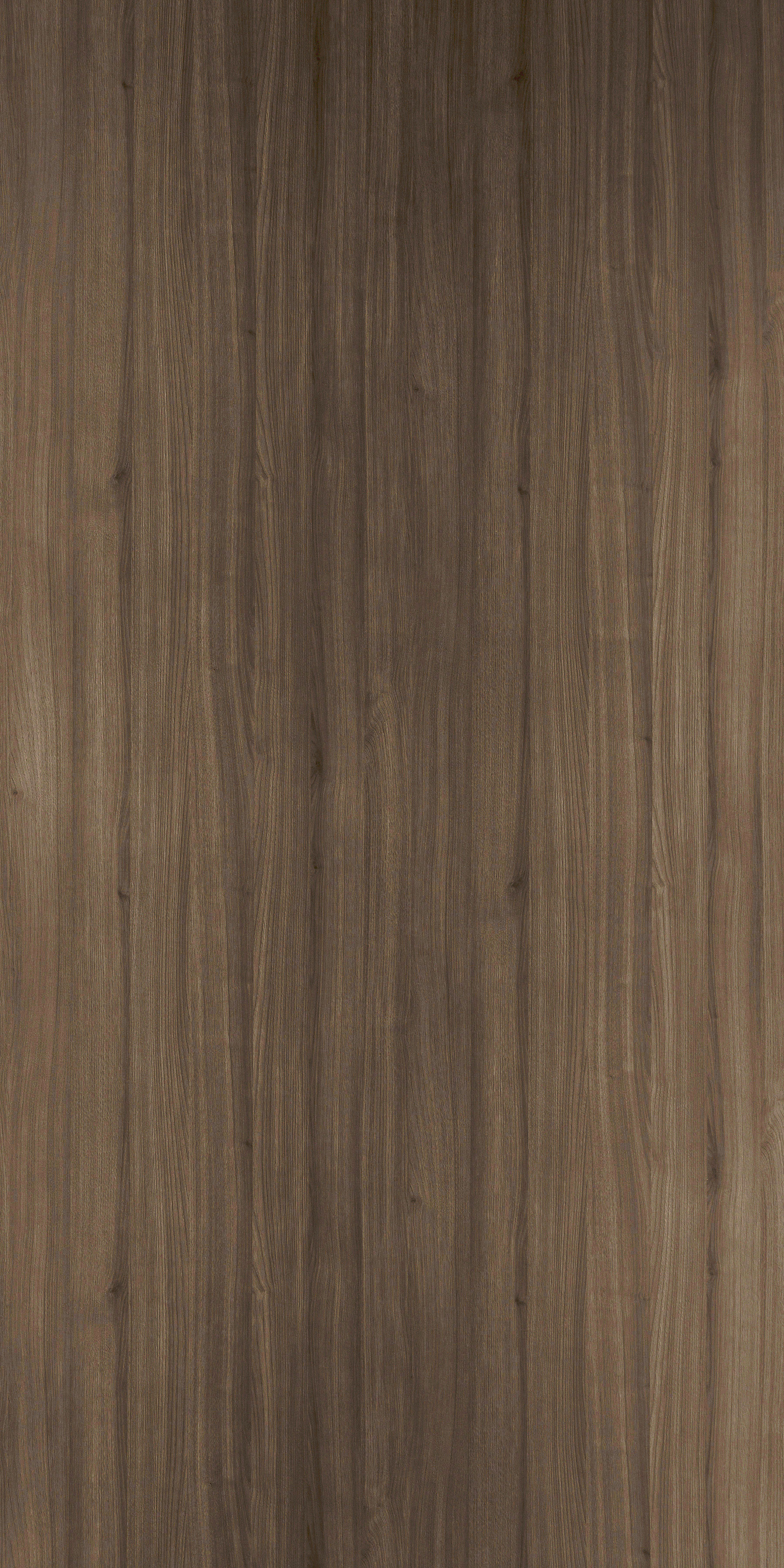 DSW 6307FLW - EDL HPL 4'x10' | SMART ASH DARK