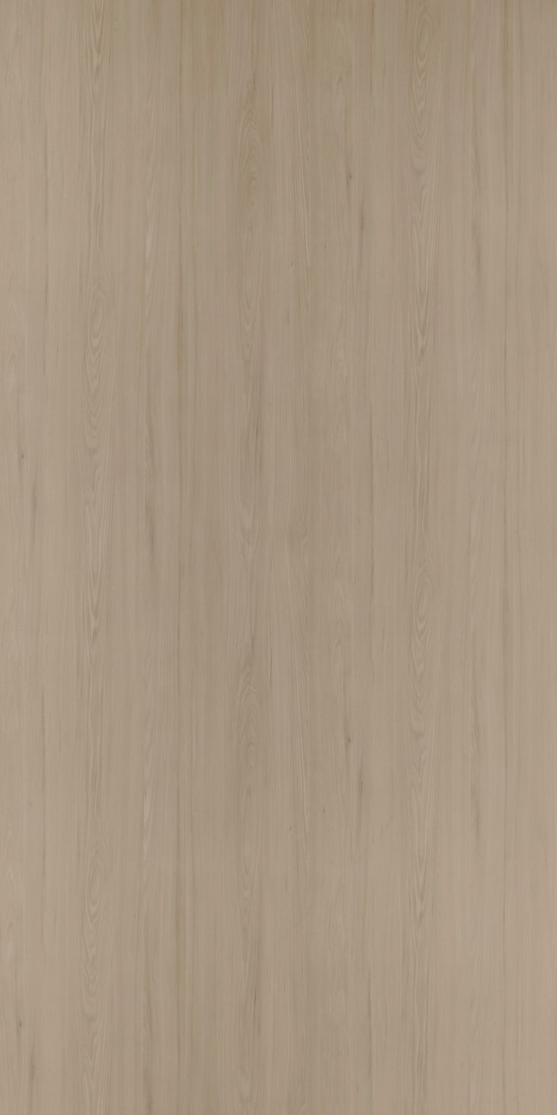 DSW 6289FLW - EDL HPL 4'x10' | MAPUCHE BEIGE