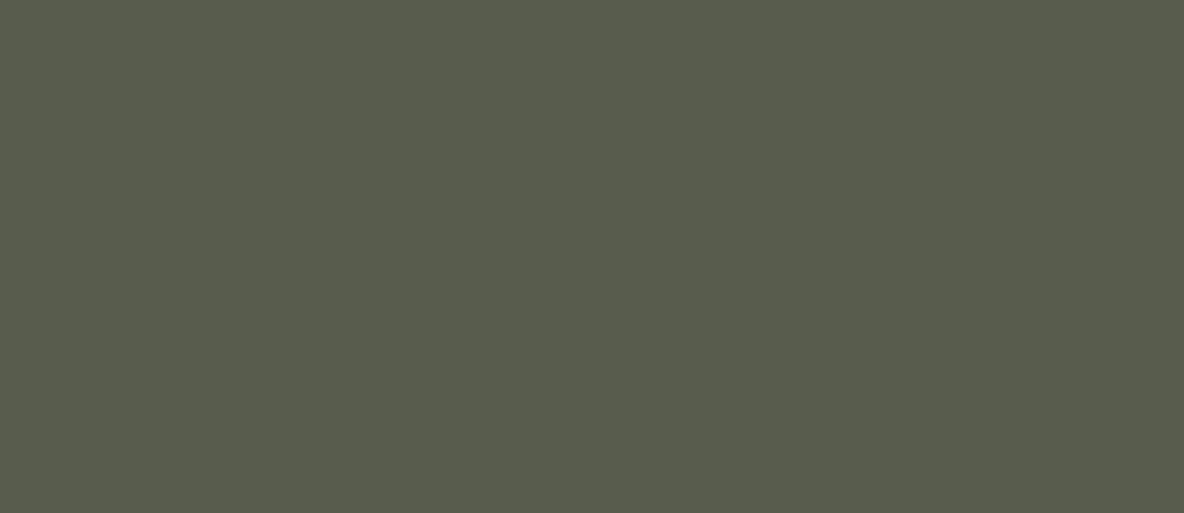 ESS 5207SMA - EDL HPL 4'x8' | MOSS GREEN