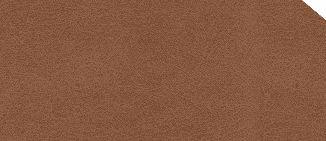 ELC 1132LM - EDL HPL 4'x8' | NOBLE LUX