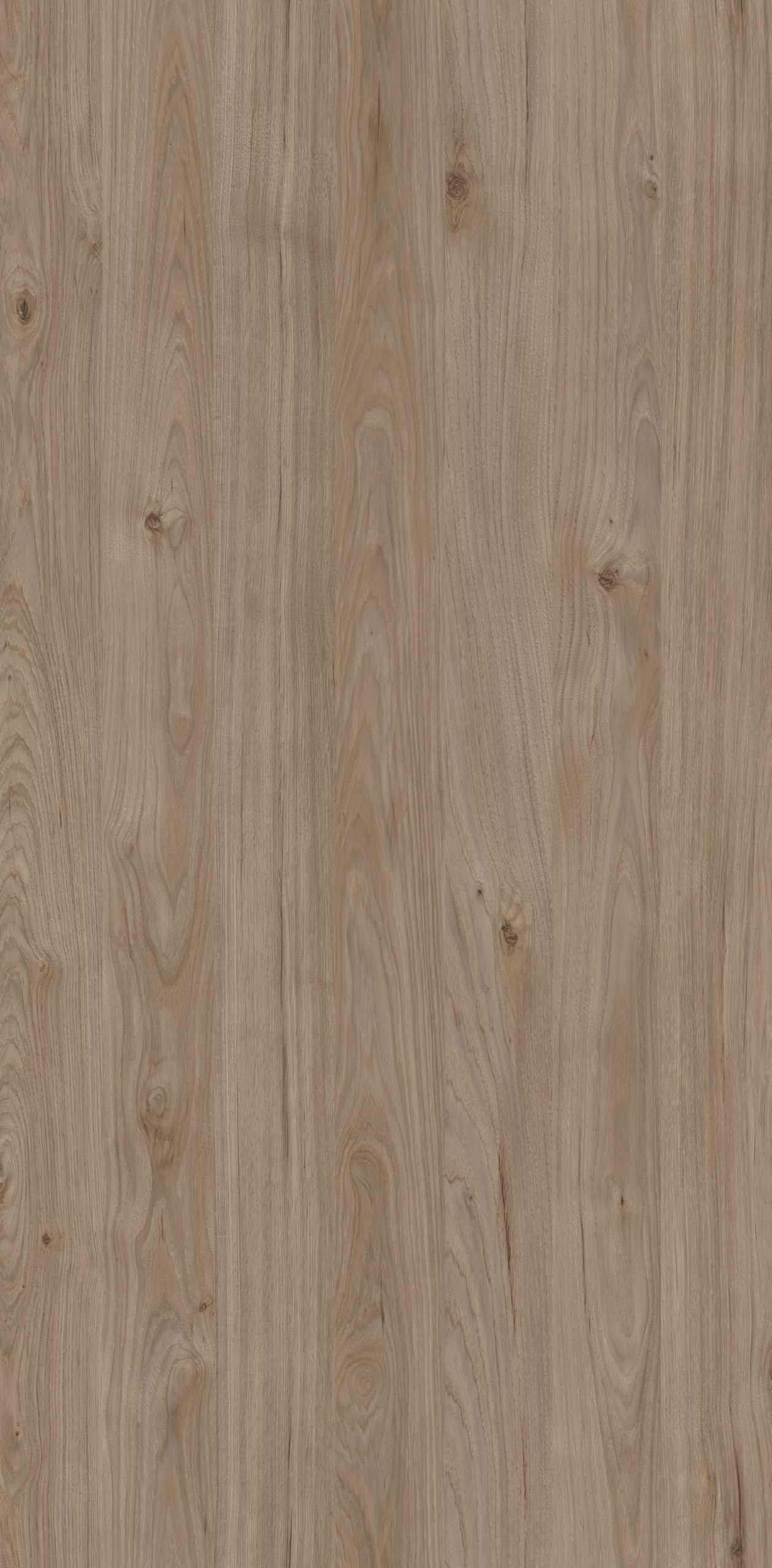 DSW 6282FLW - EDL HPL 4'x10' | COSMOPOLITAN