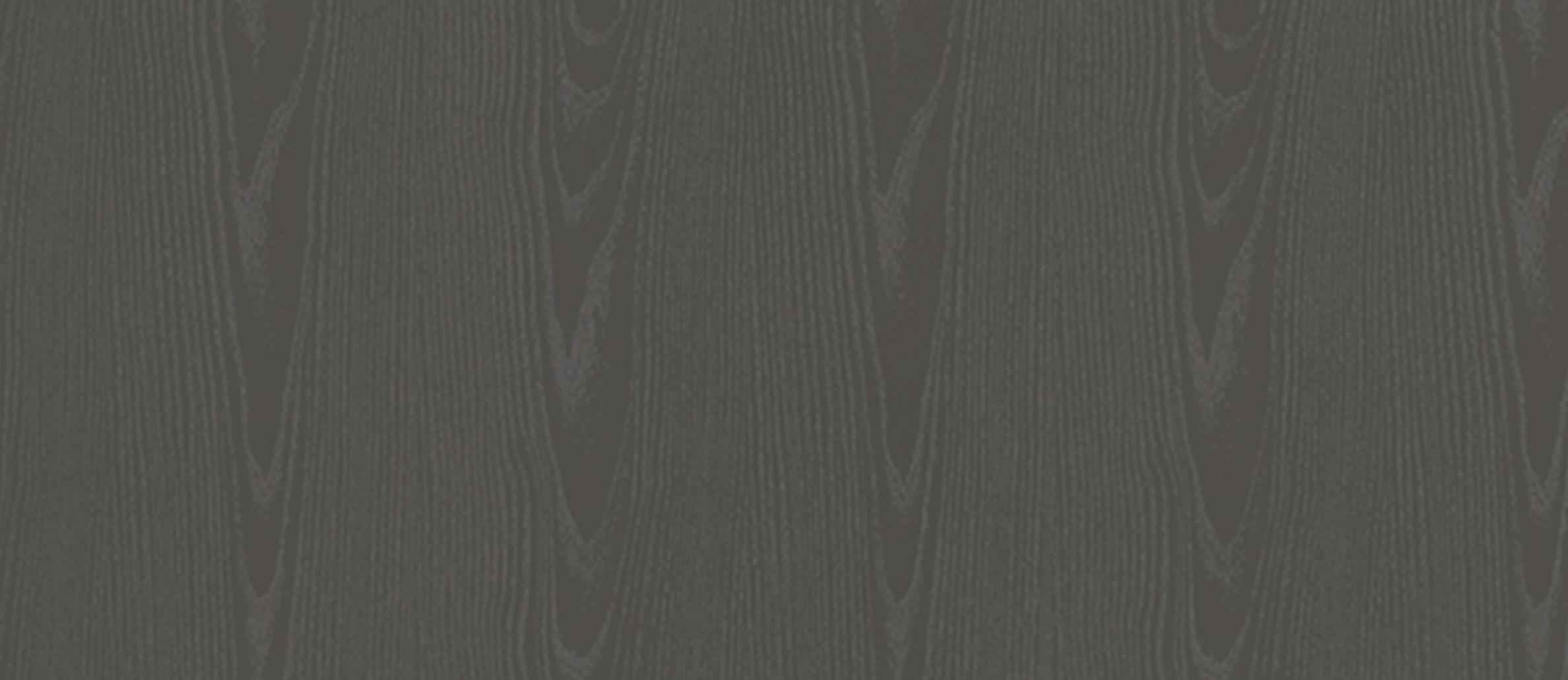 DWA 2859A - EDL HPL 4'x8' | BASEL ASH