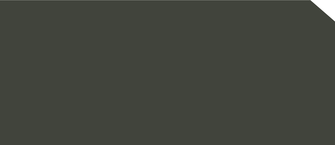 L-FA 0370AP - EDL HPL 1300x2800 | APTICO WALD GRUN